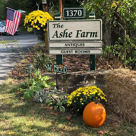 The Ashe Farm Bed & Breakfast Marshall Bagian luar foto