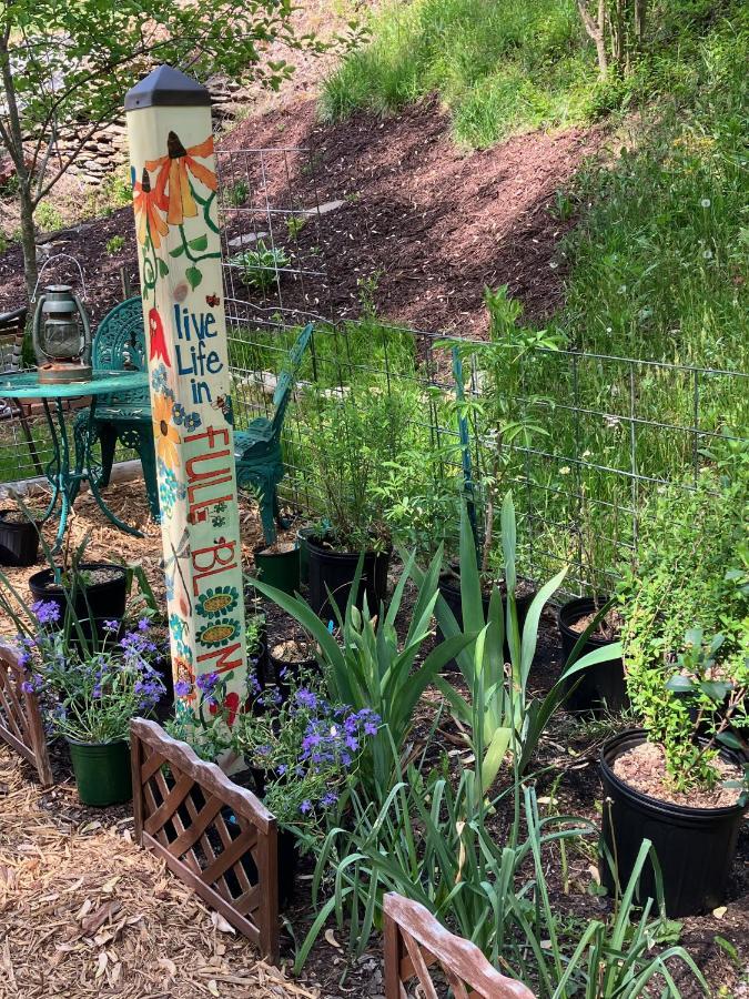 The Ashe Farm Bed & Breakfast Marshall Bagian luar foto