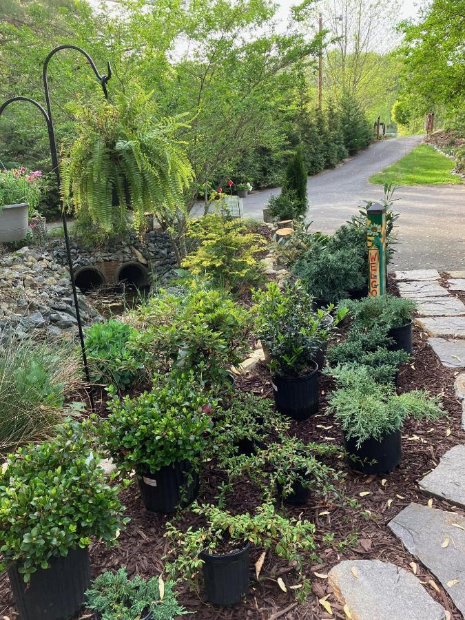 The Ashe Farm Bed & Breakfast Marshall Bagian luar foto