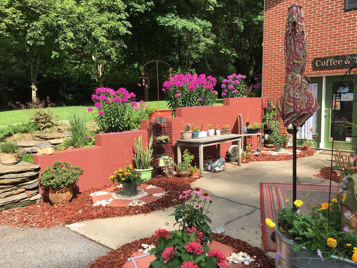 The Ashe Farm Bed & Breakfast Marshall Bagian luar foto