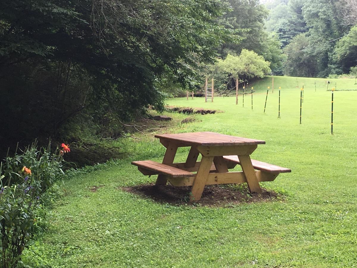 The Ashe Farm Bed & Breakfast Marshall Bagian luar foto